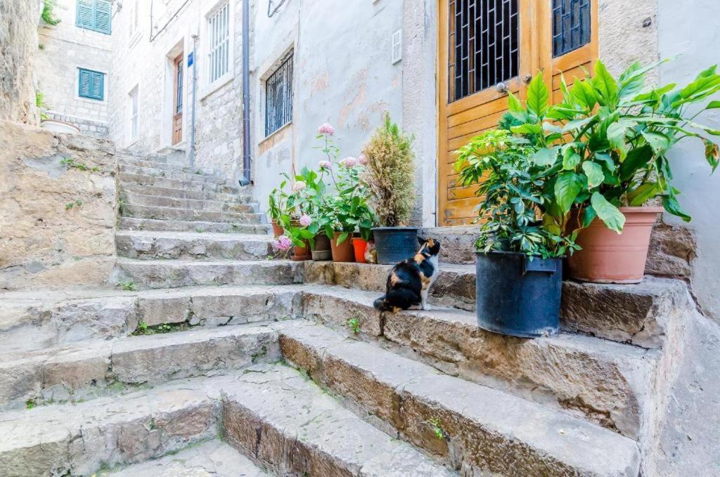 Apartment Ivona Dubrovnik Exteriör bild